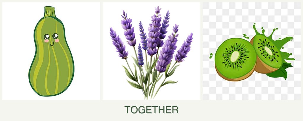 Can you plant zucchini, lavender and kiwi together?