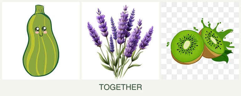 Can you plant zucchini, lavender and kiwi together?
