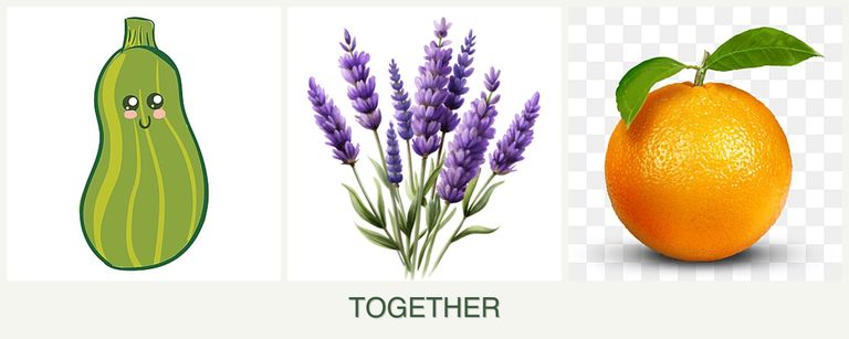 Can you plant zucchini, lavender and oranges together?