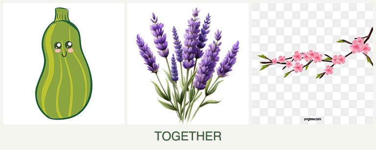 Can you plant zucchini, lavender and peaches together?