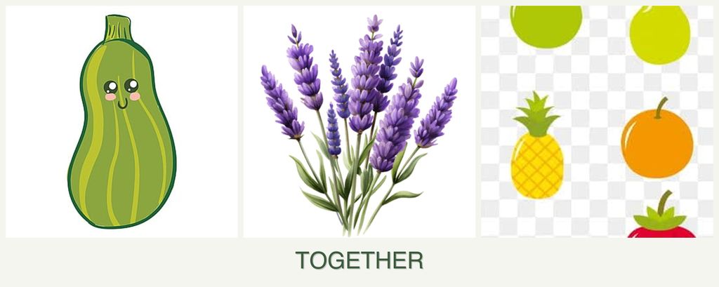 Can you plant zucchini, lavender and pears together?