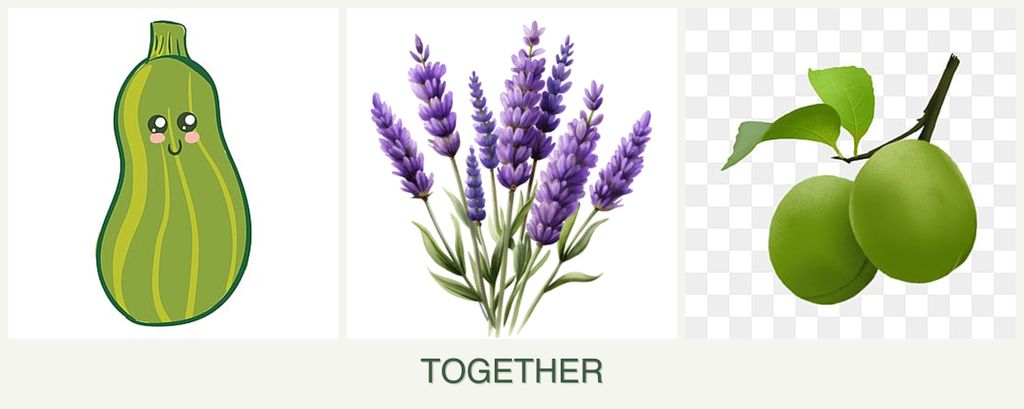 Can you plant zucchini, lavender and plums together?