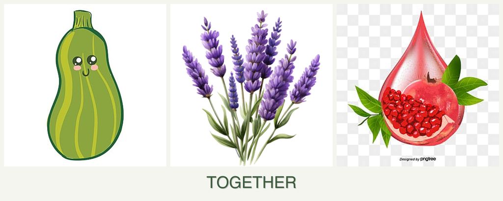 Can you plant zucchini, lavender and pomegranates together?