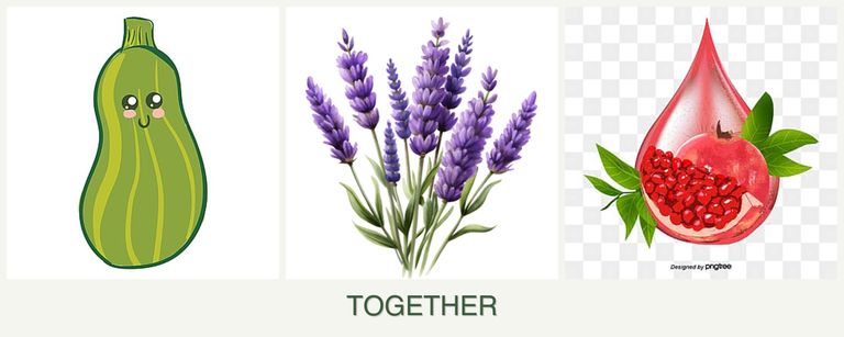 Can you plant zucchini, lavender and pomegranates together?