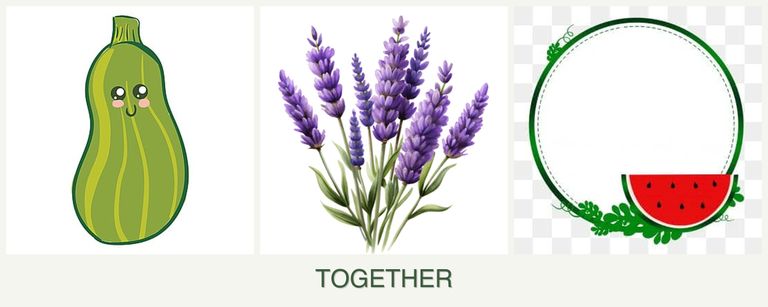 Can you plant zucchini, lavender and watermelons together?