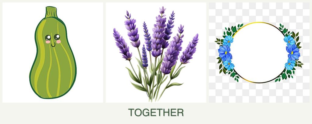 Can you plant zucchini, lavender and zinnias together?