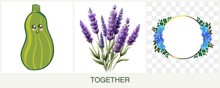 Can you plant zucchini, lavender and zinnias together?