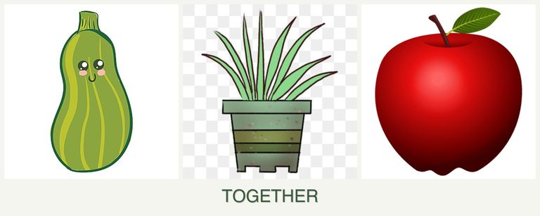 Can you plant zucchini, lemongrass and apples together?