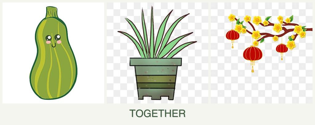 Can you plant zucchini, lemongrass and apricots together?