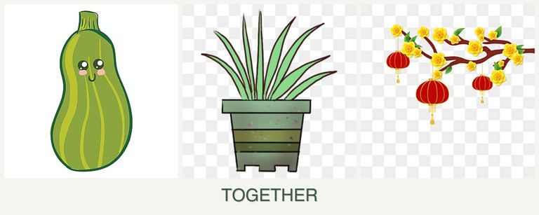 Can you plant zucchini, lemongrass and apricots together?