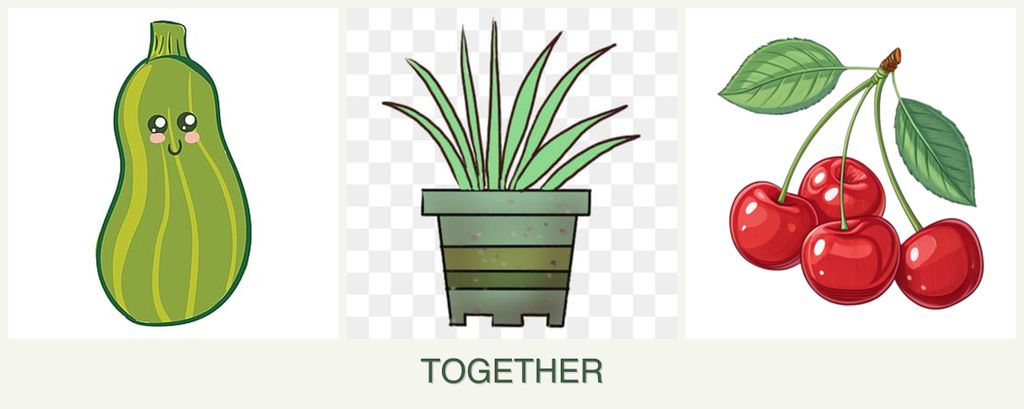 Can you plant zucchini, lemongrass and cherries together?
