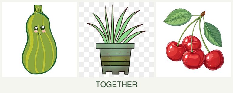 Can you plant zucchini, lemongrass and cherries together?