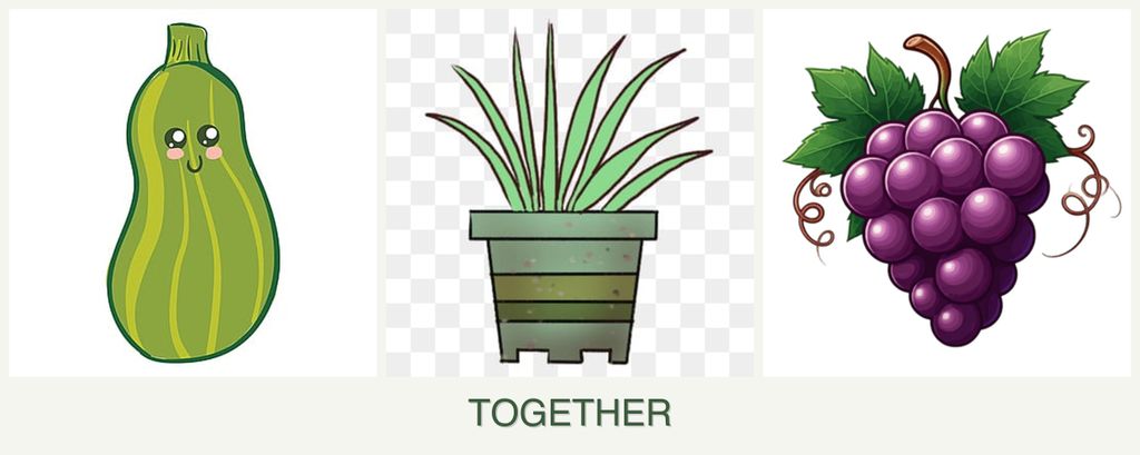 Can you plant zucchini, lemongrass and grapes together?