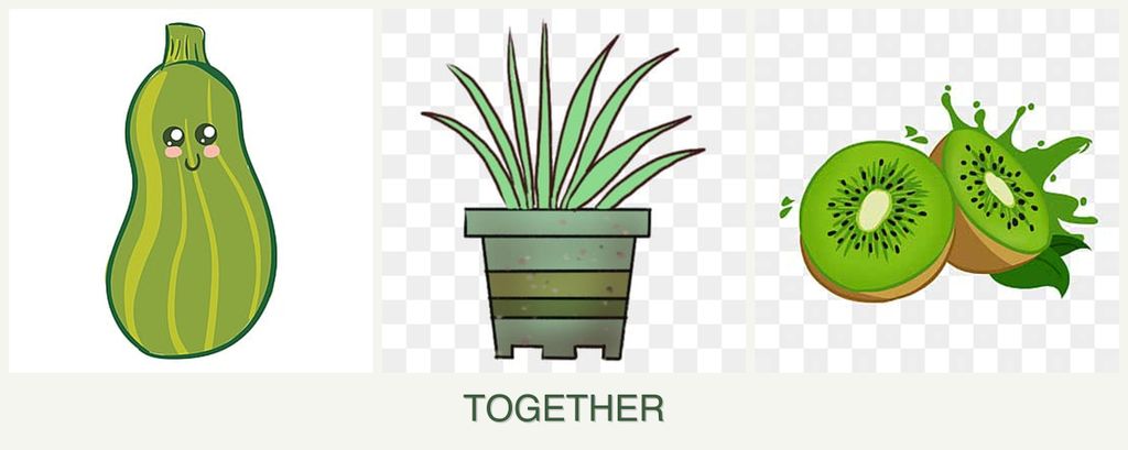 Can you plant zucchini, lemongrass and kiwi together?