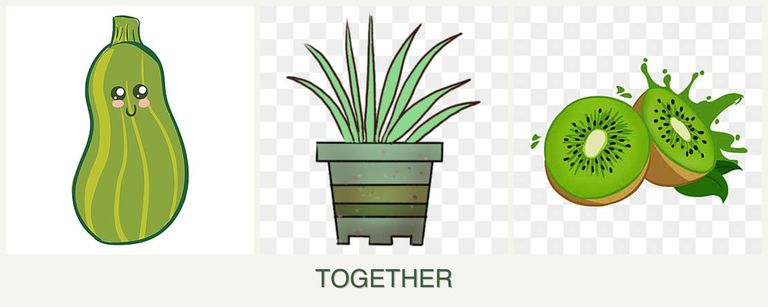 Can you plant zucchini, lemongrass and kiwi together?
