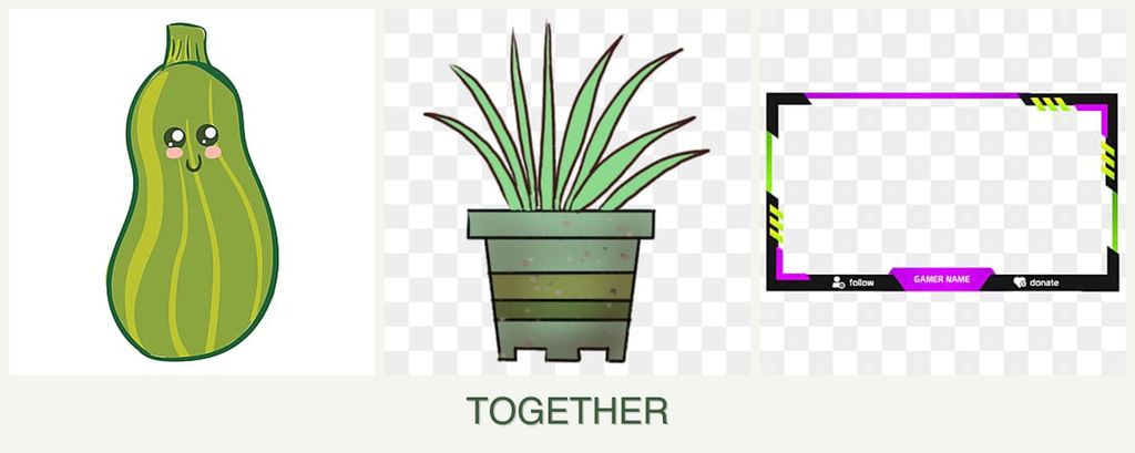 Can you plant zucchini, lemongrass and limes together?