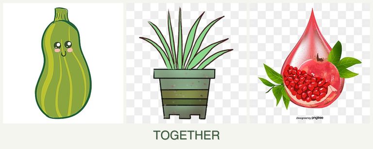 Can you plant zucchini, lemongrass and pomegranates together?