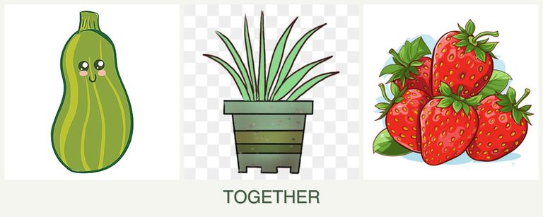Can you plant zucchini, lemongrass and strawberries together?