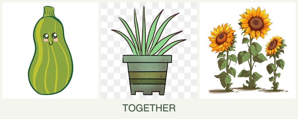 Can you plant zucchini, lemongrass and sunflowers together?