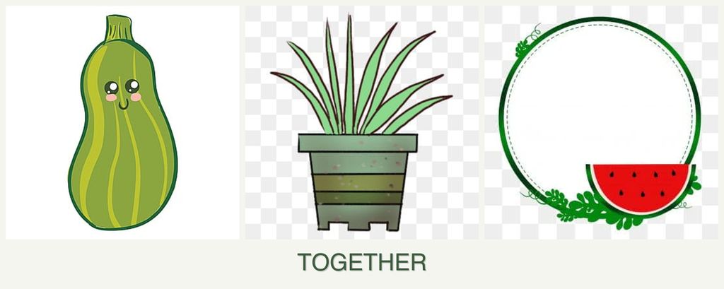 Can you plant zucchini, lemongrass and watermelons together?