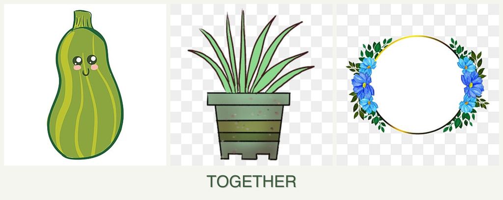 Can you plant zucchini, lemongrass and zinnias together?