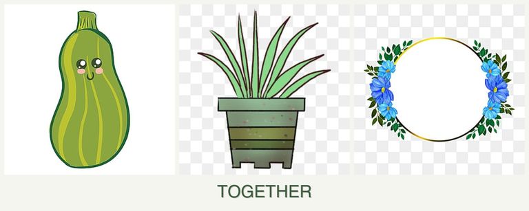 Can you plant zucchini, lemongrass and zinnias together?
