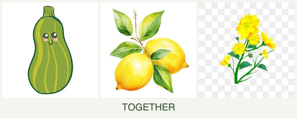 Can you plant zucchini, lemons and calendula together?