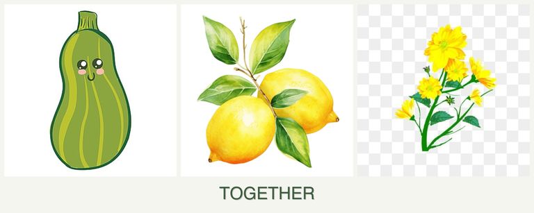 Can you plant zucchini, lemons and calendula together?