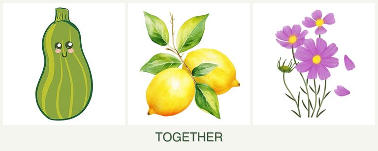 Can you plant zucchini, lemons and cosmos together?