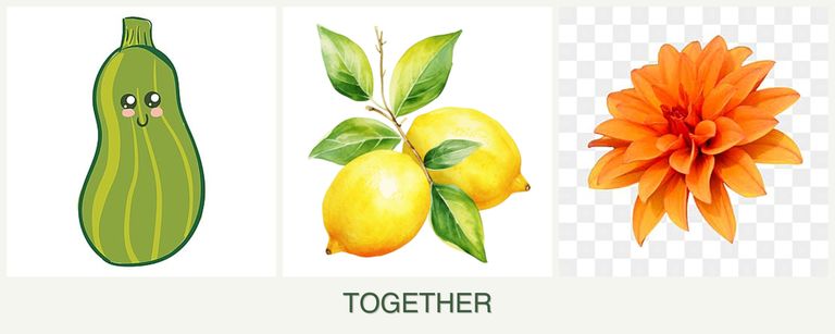Can you plant zucchini, lemons and dahlias together?