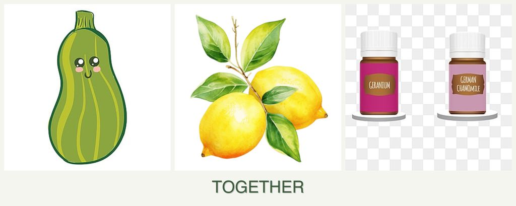 Can you plant zucchini, lemons and geraniums together?