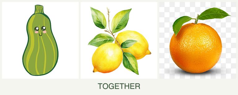 Can you plant zucchini, lemons and oranges together?