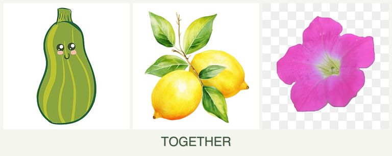 Can you plant zucchini, lemons and petunias together?