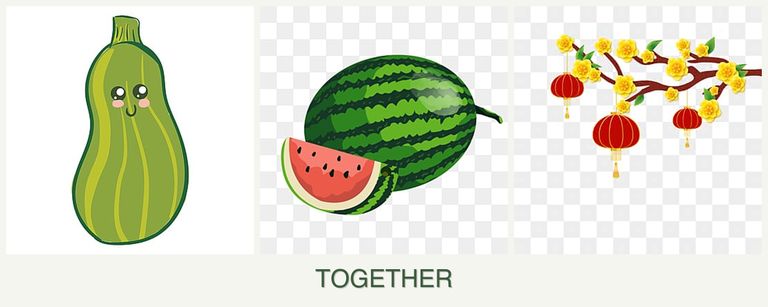 Can you plant zucchini, melons and apricots together?