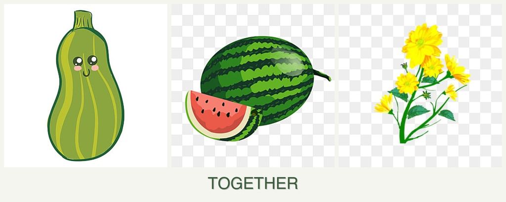 Can you plant zucchini, melons and calendula together?