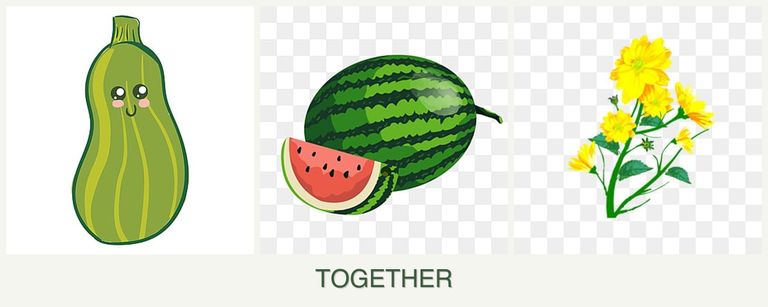 Can you plant zucchini, melons and calendula together?