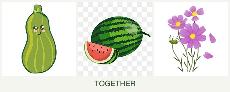 Can you plant zucchini, melons and cosmos together?