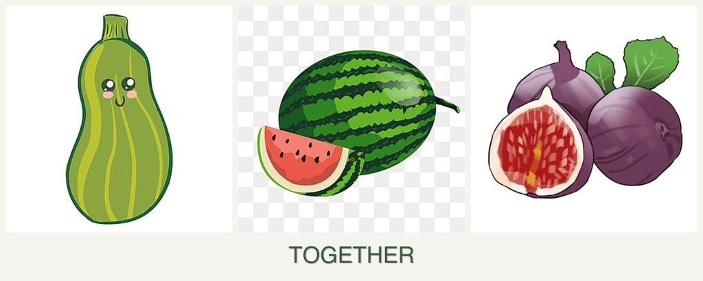 Can you plant zucchini, melons and figs together?