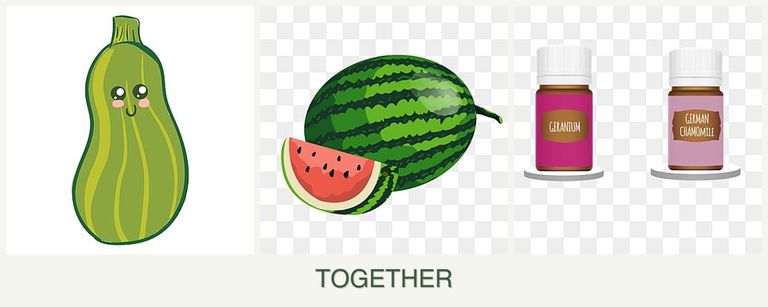 Can you plant zucchini, melons and geraniums together?