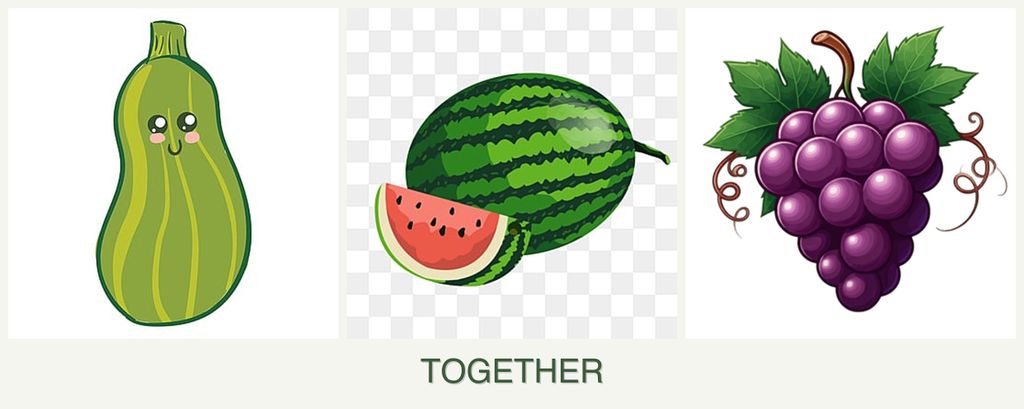 Can you plant zucchini, melons and grapes together?
