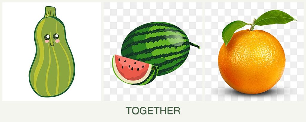 Can you plant zucchini, melons and oranges together?