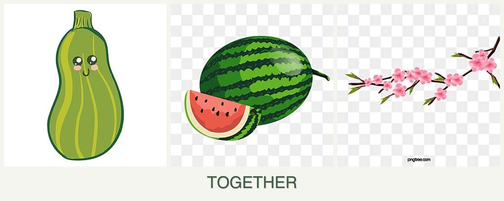 Can you plant zucchini, melons and peaches together?