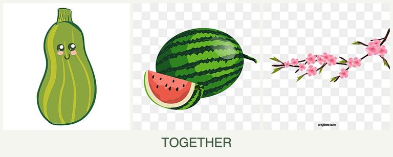 Can you plant zucchini, melons and peaches together?