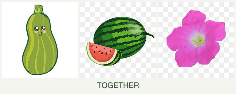 Can you plant zucchini, melons and petunias together?