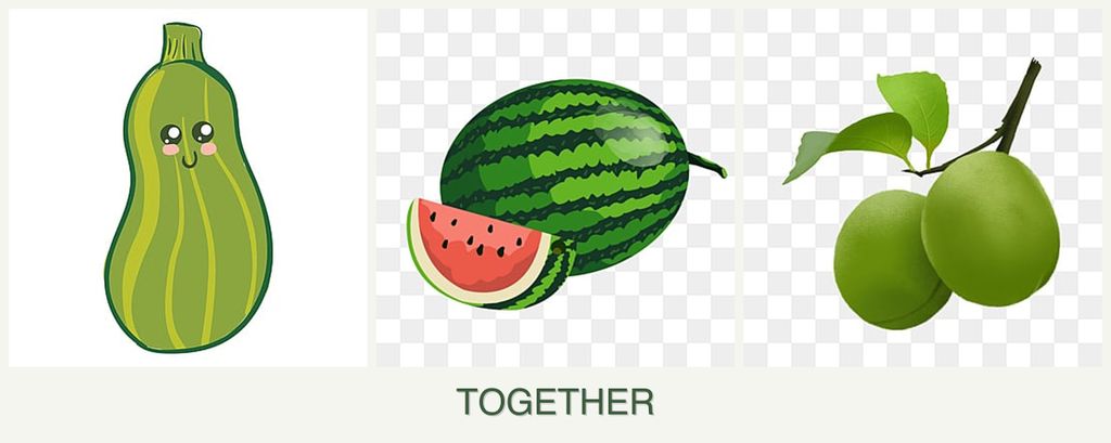 Can you plant zucchini, melons and plums together?