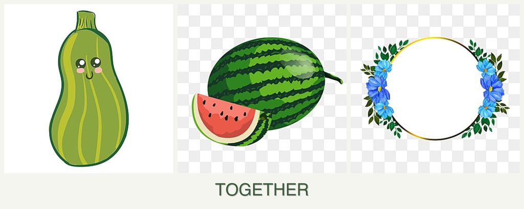 Can you plant zucchini, melons and zinnias together?