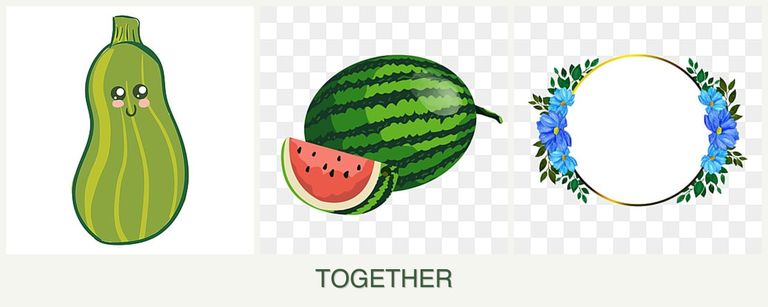 Can you plant zucchini, melons and zinnias together?
