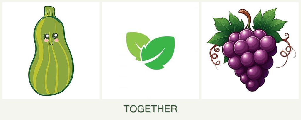 Can you plant zucchini, mint and grapes together?