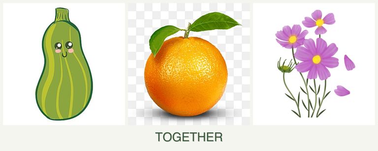 Can you plant zucchini, oranges and cosmos together?