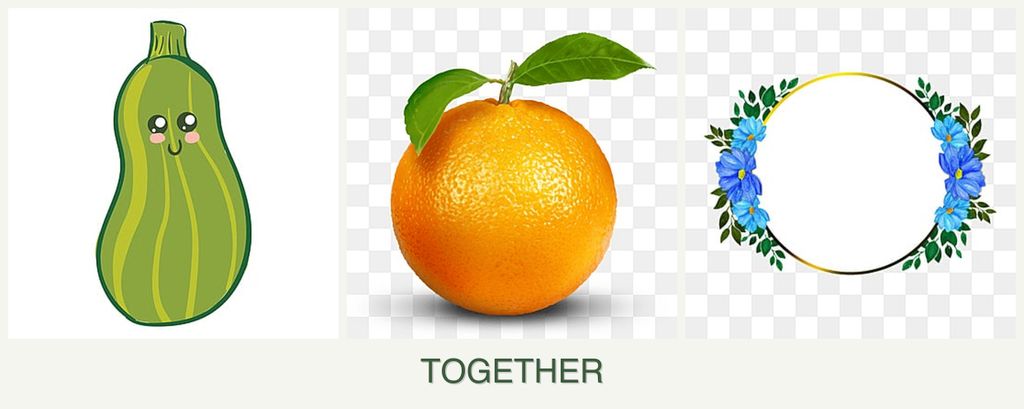 Can you plant zucchini, oranges and zinnias together?
